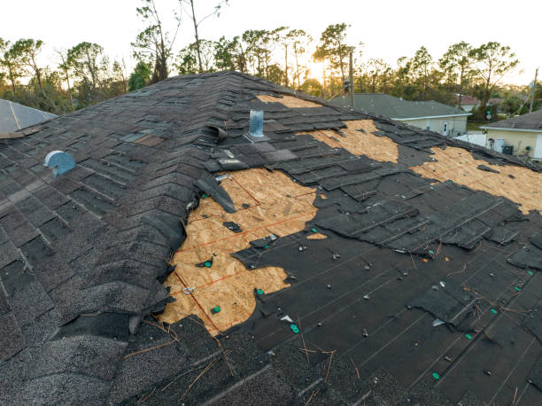 Best Roof Leak Repair  in Ardmore, AL